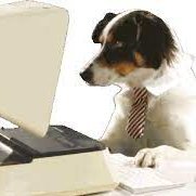 Pervy59037844's profile picture. CEO of https://t.co/tUCJj414sL