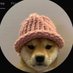 dois (@douhaveacomrade) Twitter profile photo dois (@douhaveacomrade) Twitter profile photo