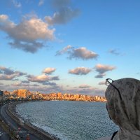 Sahra🇸🇴🇵🇸 (@tweetsahra) Twitter profile photo