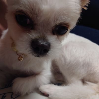 umoooii323124's profile picture. 競馬垢🐎メロディーレーンの限界オタクになりたい　みんな応援したい💪カメラほしい🌷美容＋＋＋推し＋＋＋幸英明騎手推し
※リポストしかしない&予想家垢はフォローしません、、