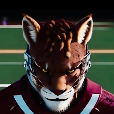 GridironGatos Profile Picture