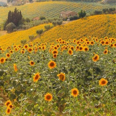 annaKARENinaa06's profile picture. as free as the ocean 🌊