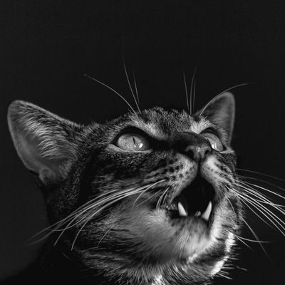 dwayne_heart1's profile picture. LOVE YOURSELF