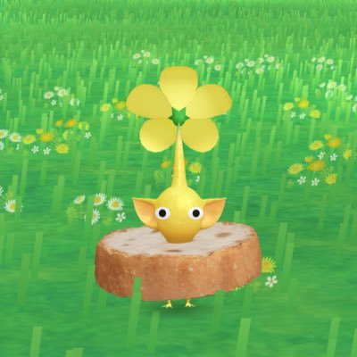 Yammoさんのプロフィール画像