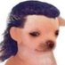 FilipiLeal (@lealtxt) Twitter profile photo FilipiLeal (@lealtxt) Twitter profile photo