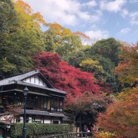 金山亮太 (@kanayama053) Twitter profile photo