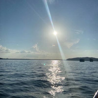 WaterDogs262's profile picture. WORKING CONSERVATIVE. 🦅🇺🇸✝️. 🚫BS! 🚫PORN! 🚫CRYPTO! 🚫NO INVESTMENT SOLICITATION! 🚫NO DMs! NO DMs! NO DMs! 🛑