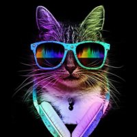 KittyZLitter (@titsntrades) Twitter profile photo