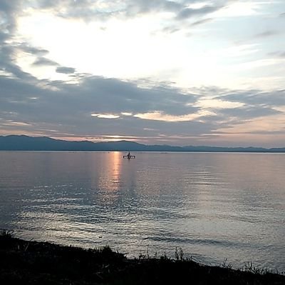 SFvy9F4HReLLgfa's profile picture. 