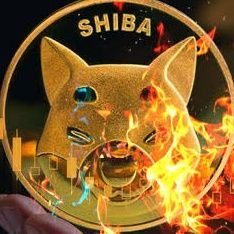 SHiB_EXpertt's profile picture. CRYPTO GEMS Promoter &NFT PROMOTR💎OFFICIAL #BINANCE #CMC #CG& Others Partners Looking For LOW 
Cap 💎 GEMs🤝 OPEN DM 📥🔥🔥🔥🔥
