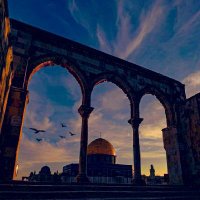 فِـلَسْـ𓂆ـطِين (@mohussein90) 's Twitter Profile Photo فِـلَسْـ𓂆ـطِين (@mohussein90) 's Twitter Profile Photo