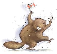 nscanada51's profile picture. 