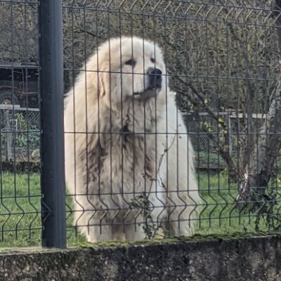 marion_niklas's profile picture. 