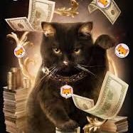 #RiseOfCats #catpay #catecoin #BNB #ETH