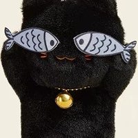 msdistn (@msdistn) Twitter profile photo