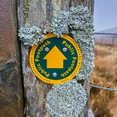 Out and about with the Northumberland National Park Ranger Service; sharing pictures and updates of the work we do around the Park.