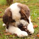 patty silver - @Swonderful_ - Twitter