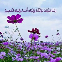 زهرة النرجس384797 (@mwfqsry) 's Twitter Profile Photo