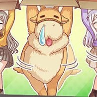 あんこくしきさんのプロフィール画像