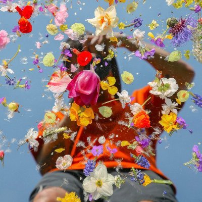 Flower Blocks. Photographer | Art | Motion | 💐 https://t.co/Sx5DnookFP