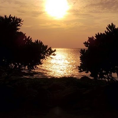 Chaps0516's profile picture. 