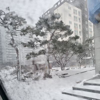 coodmm6963's profile picture. 아무것도몰라요
그저 배우는 단계입니다