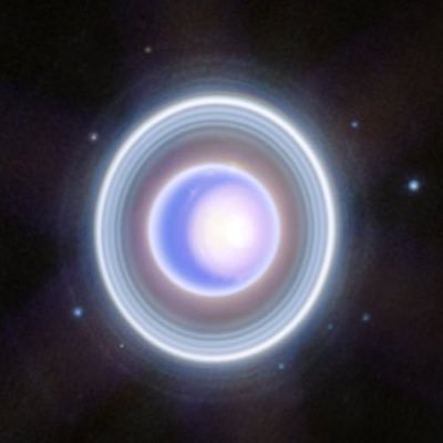 yapuuuhhcxr's profile picture. Oui