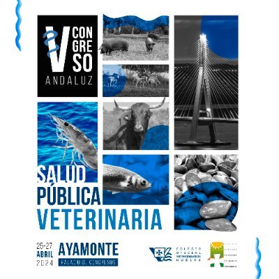 Una cita científico-técnica destinada a convertirse en referente del veterinario especialista en Salud Pública 🐶👨⚕️💞👩⚕️🐈.
