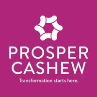 Prosper Cashew(@ProsperCashew) 's Twitter Profile Photo