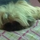 LETICIA ROBERTS - @LeehMarieR - Twitter