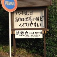 うさみみ (@pandausagi999) 's Twitter Profile Photo うさみみ (@pandausagi999) 's Twitter Profile Photo