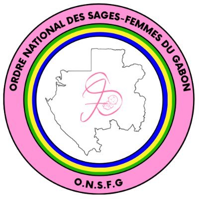 Au cœur de la santé maternelle et infantile au Gabon, l'Ordre National des Sages-Femmes s'engage activement pour garantir des soins de qualité.