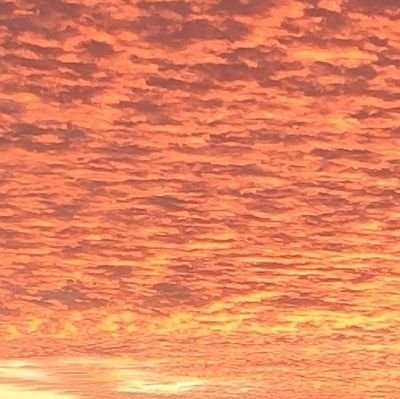 casarus1's profile picture. 