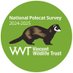 NationalPolecatSurvey (@polecatsurvey) Twitter profile photo NationalPolecatSurvey (@polecatsurvey) Twitter profile photo