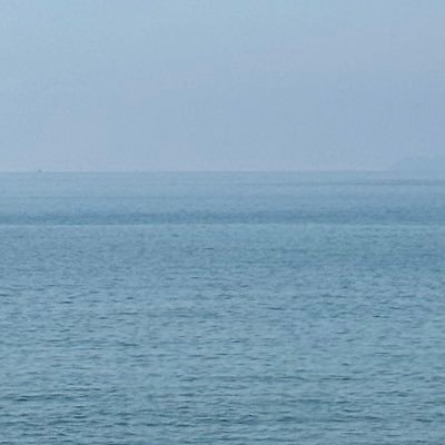 stampkornzm's profile picture. ✈