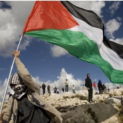 i_ensarioglu's profile picture. siyasetle uğraşmayan müslümanı!
müslüman olmayan siyasetçi yönetir.

🇹🇷🇹🇷🇹🇷