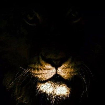 johnalsina05's profile picture. REAL LOYALTY CONSISTENCY PEACE LOVE RESPECT 

https://t.co/W7Y36E3MQ7