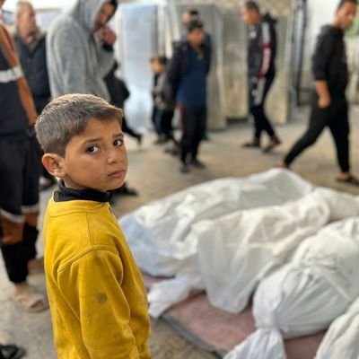 gazagenocide55's profile picture. 