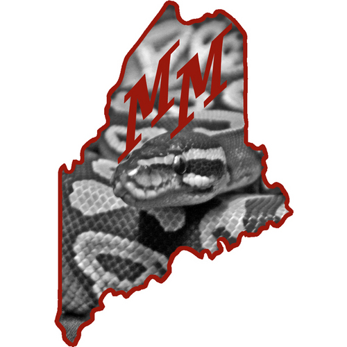 Breeder of high quality ball python morphs from the beautiful state of Maine!