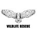 Wildlife Rescue India (@wild_rescue) Twitter profile photo Wildlife Rescue India (@wild_rescue) Twitter profile photo