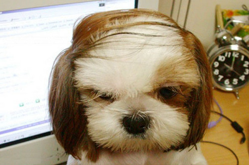 WeirdTweets2's profile picture. These are weird tweets. WeirdTweets are or can be funny tweets.