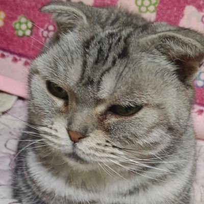 fngchn512111913's profile picture.