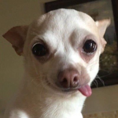 loon206's profile picture. 