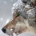EinsamerWandererSpricht (@wanderersagt) Twitter profile photo EinsamerWandererSpricht (@wanderersagt) Twitter profile photo