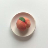 π°π±πΉ (@semicodeok) 's Twitter Profile