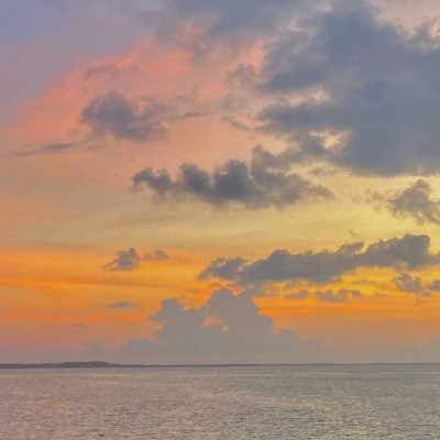 MinnalVII's profile picture. For Truth, Justice.