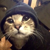piotmni (@piotmni) 's Twitter Profile
