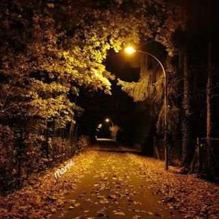 بسم الله الرحمن الرحيم .
﴿ قُلْ هُوَ اللهُ أَحَدٌ اللهُ الصَّمَدُ لَمْ يَلِدْ
وَلَمْ يُولَدْ وَلَمْ يَكُنْ لَهُ كُفُوًا أَحَدٌ 