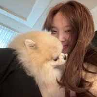 ๐ (@bo_soong) 's Twitter Profile Photo ๐ (@bo_soong) 's Twitter Profile Photo