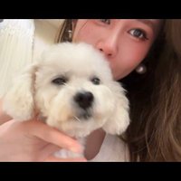 请叫我四狗 (@yaman5118) 's Twitter Profile Photo 请叫我四狗 (@yaman5118) 's Twitter Profile Photo